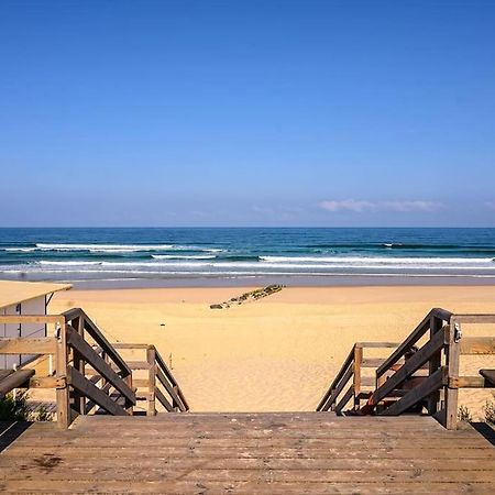 La Cabane Maddyblue 5 Min A Pieds De L'Ocean Et Commerce Mimizan Ngoại thất bức ảnh