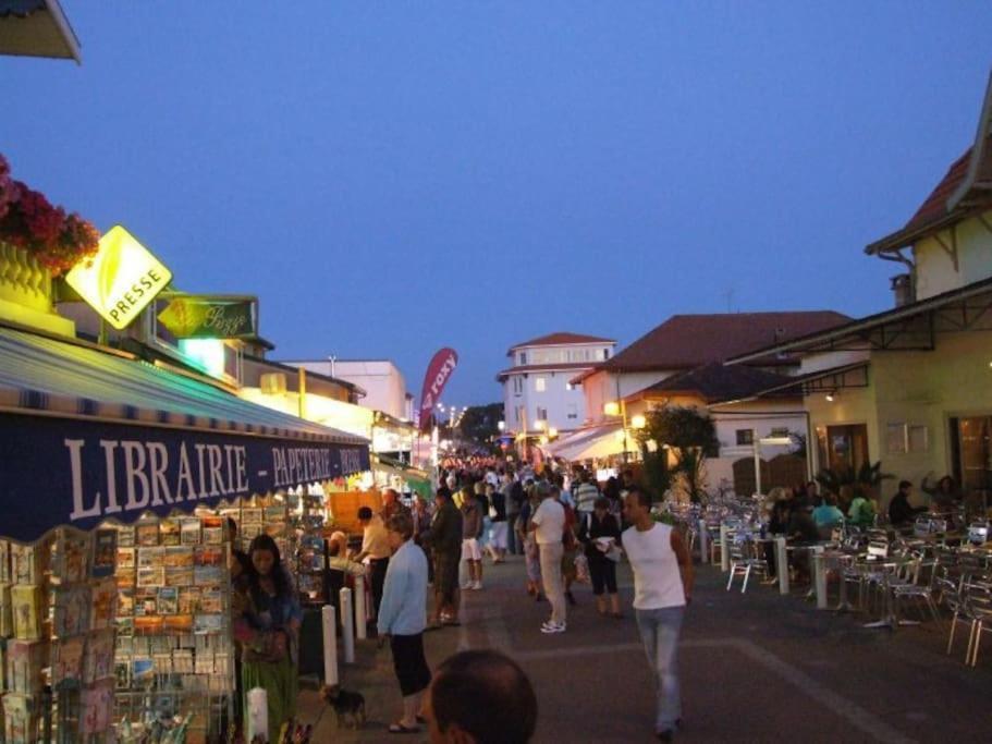 La Cabane Maddyblue 5 Min A Pieds De L'Ocean Et Commerce Mimizan Ngoại thất bức ảnh